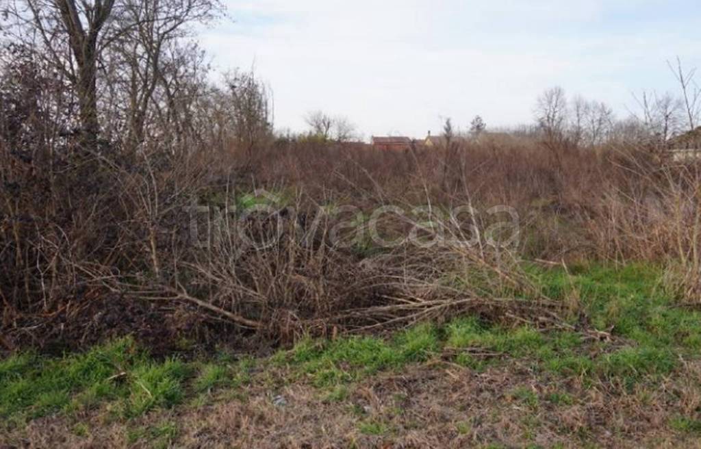 immagine annuncio 7 di 11