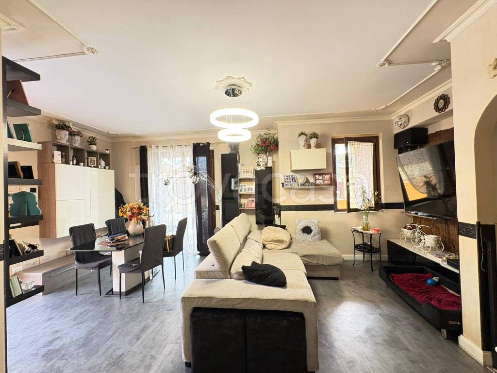 immagine annuncio 6 di 15