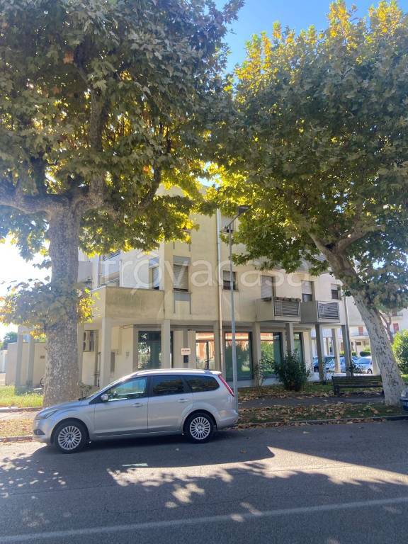 immagine annuncio 9 di 14