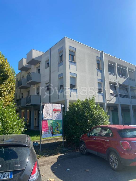 immagine annuncio 10 di 14