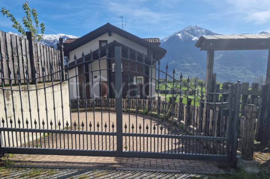 immagine annuncio 1 di 11