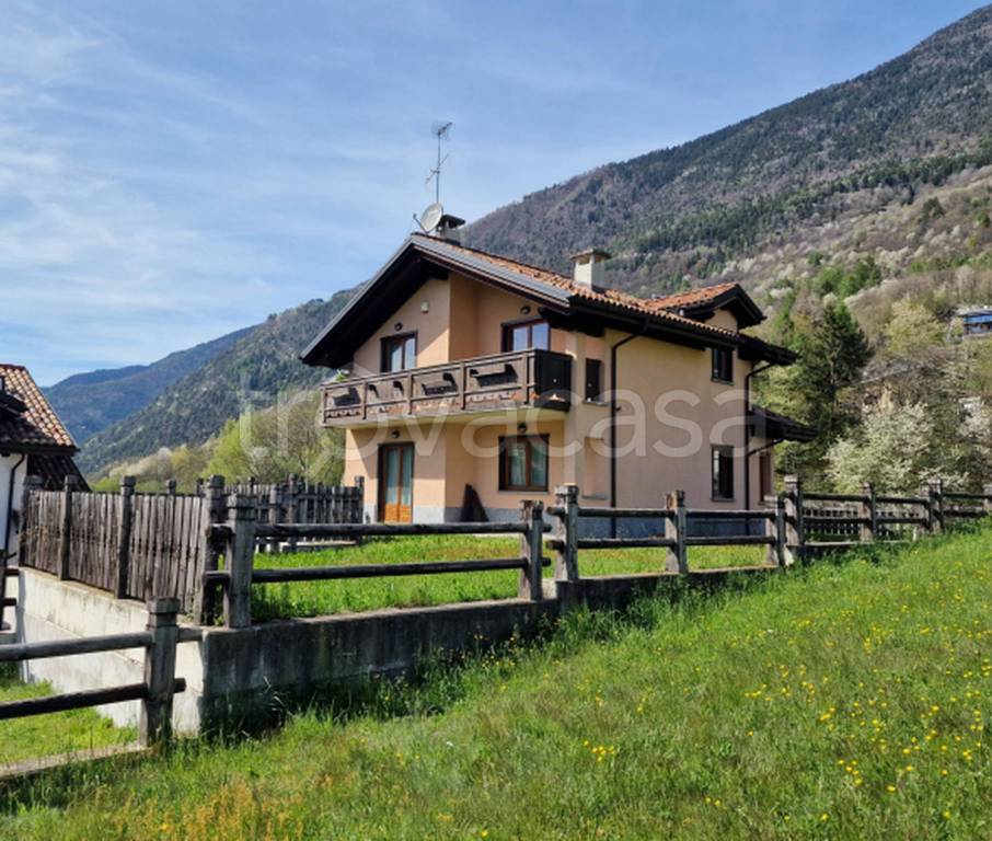 immagine annuncio 3 di 11