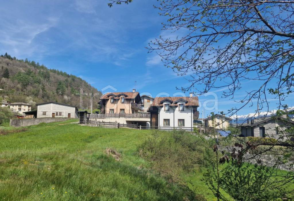 immagine annuncio 10 di 11