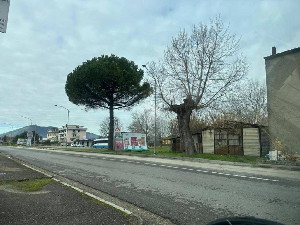 immagine annuncio 2 di 11