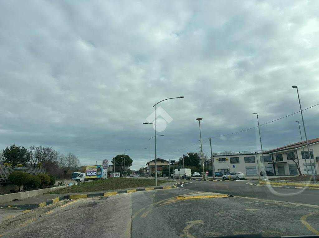 immagine annuncio 9 di 11