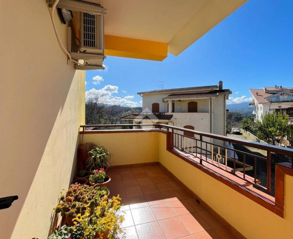 immagine annuncio 7 di 12