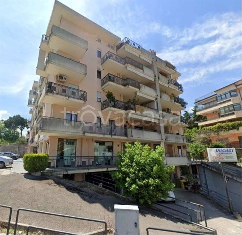 immagine annuncio 5 di 12