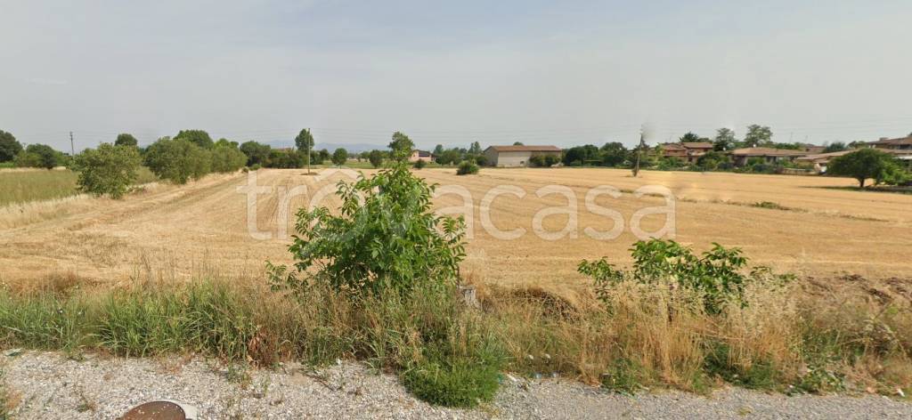 immagine annuncio 2 di 7