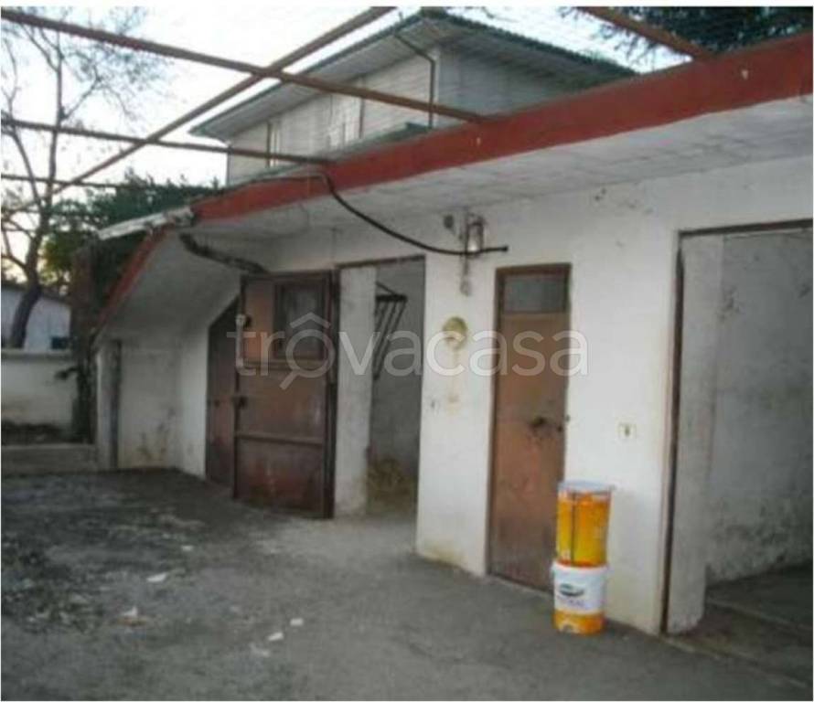 immagine annuncio 4 di 11