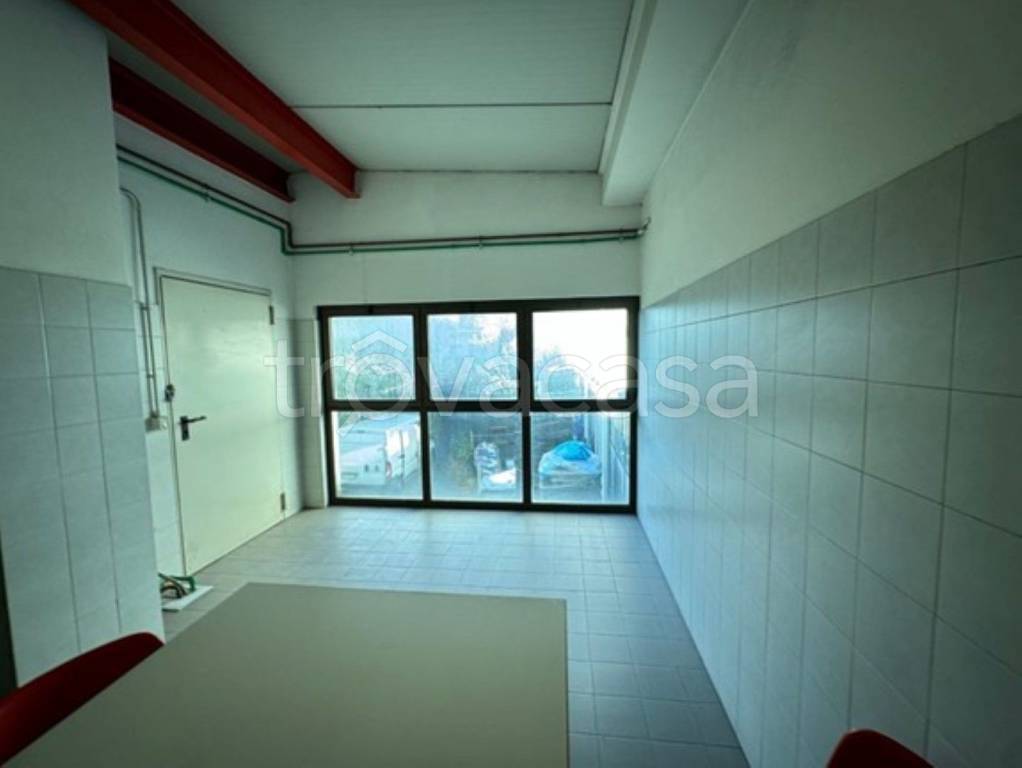 immagine annuncio 7 di 13