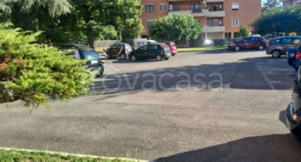 immagine annuncio 2 di 12