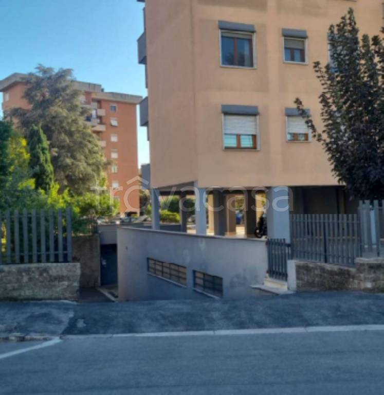 immagine annuncio 9 di 12