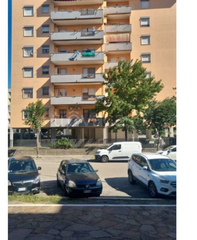 immagine annuncio 10 di 12