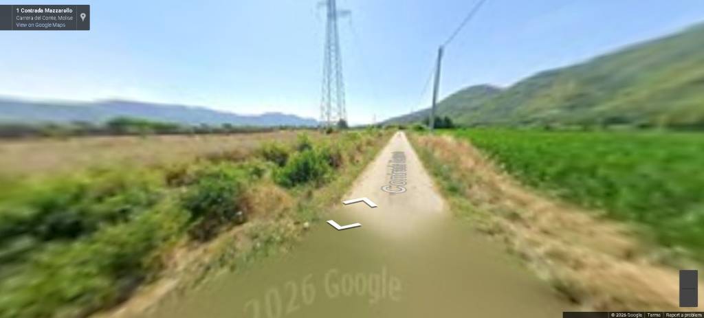 immagine annuncio 6 di 12