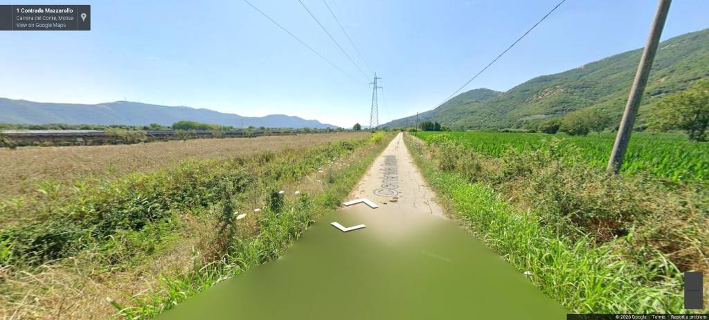 immagine annuncio 7 di 12