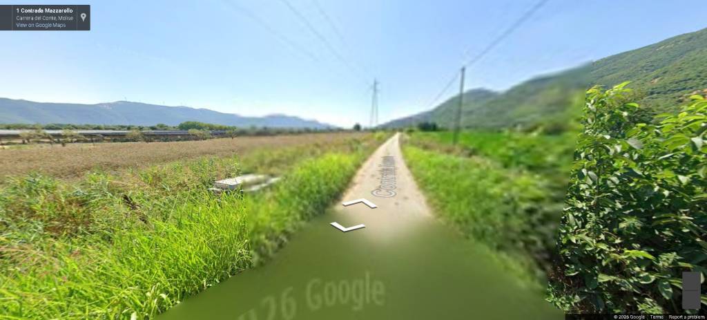 immagine annuncio 8 di 12