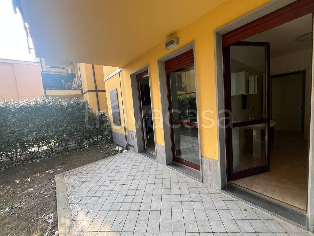 immagine annuncio 12 di 14