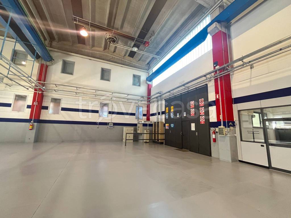 immagine annuncio 8 di 15