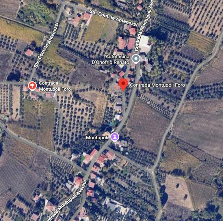 immagine annuncio 11 di 15