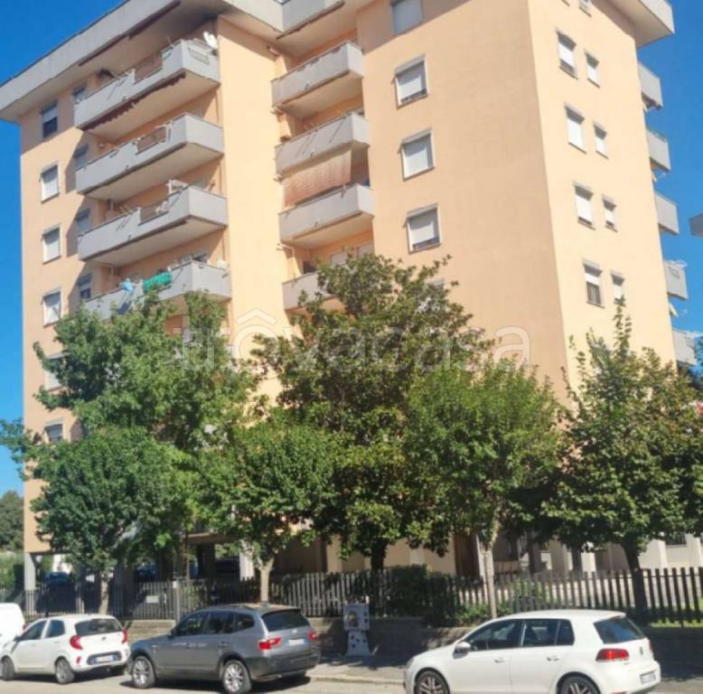 immagine annuncio 3 di 11