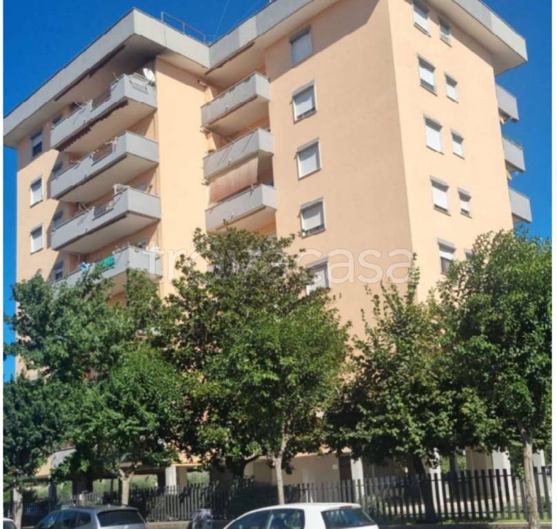 immagine annuncio 4 di 11