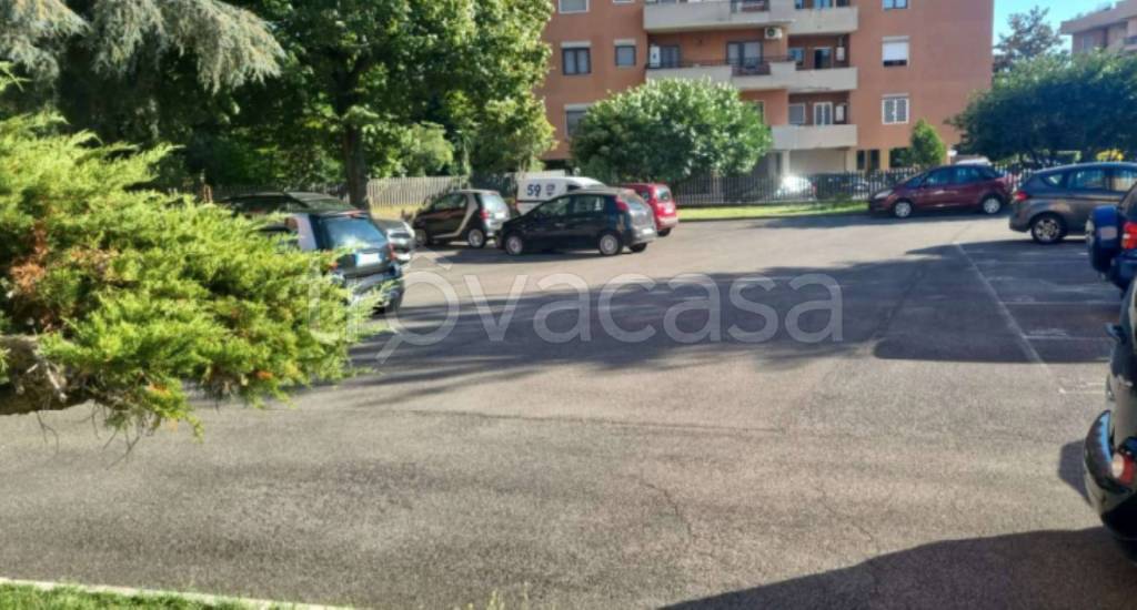 immagine annuncio 5 di 11