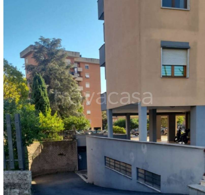 immagine annuncio 9 di 11