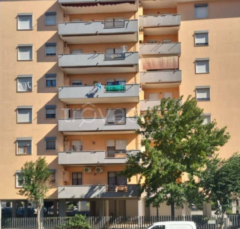 immagine annuncio 10 di 11