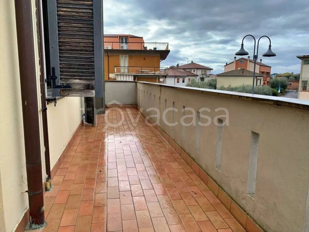 immagine annuncio 9 di 13