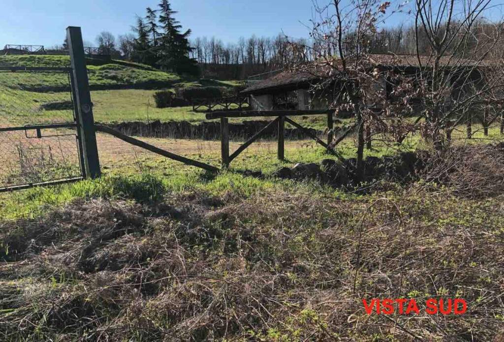 immagine annuncio 10 di 14