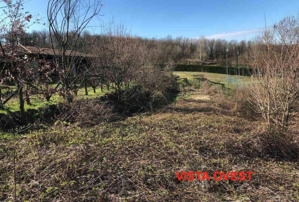 immagine annuncio 11 di 14