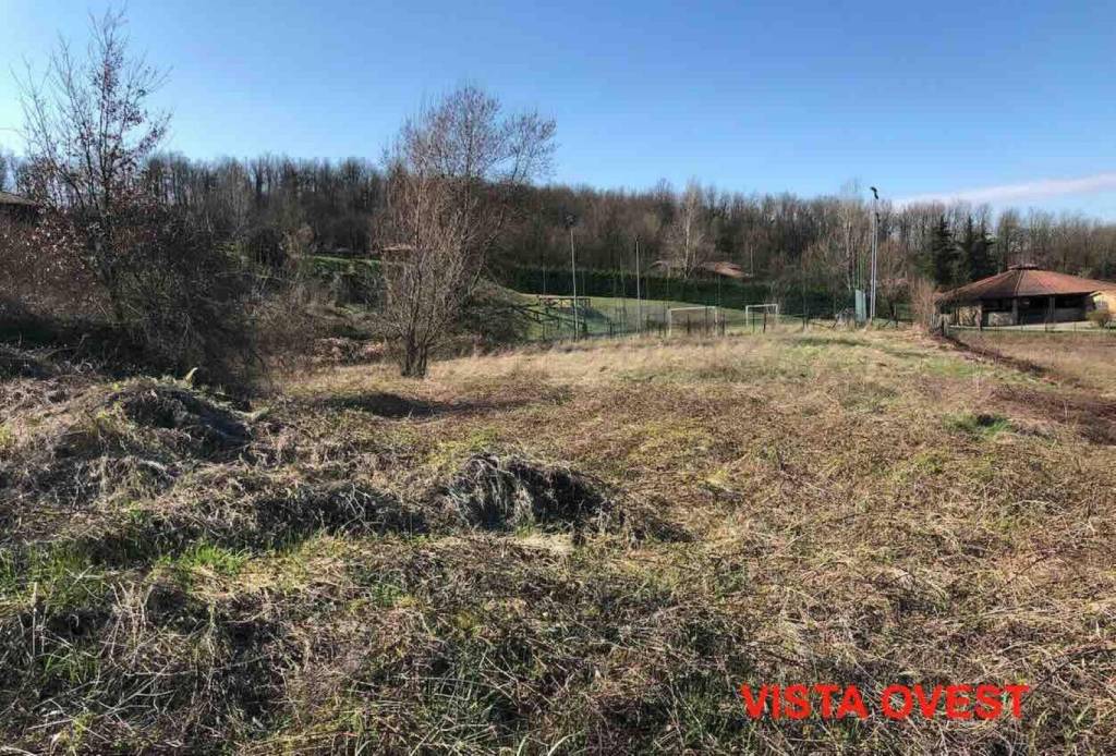 immagine annuncio 12 di 14