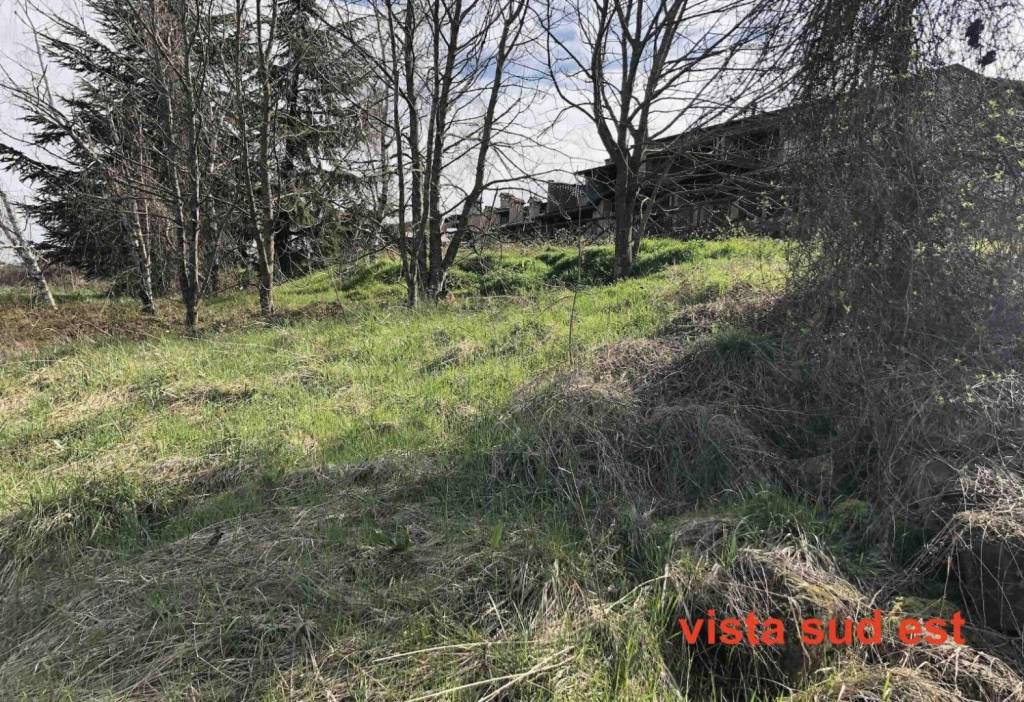 immagine annuncio 13 di 14