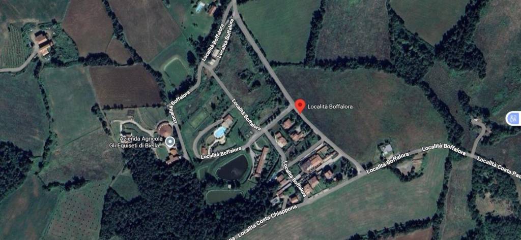 immagine annuncio 10 di 11