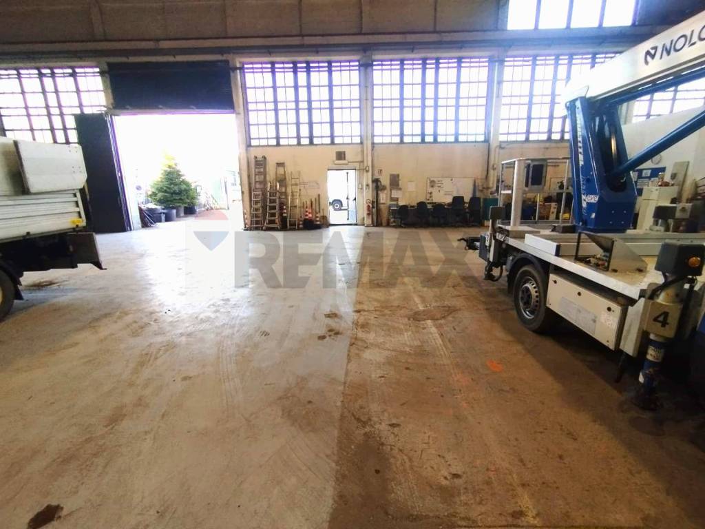 immagine annuncio 12 di 15