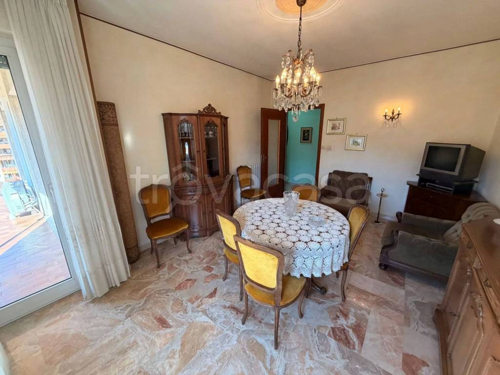 immagine annuncio 6 di 14