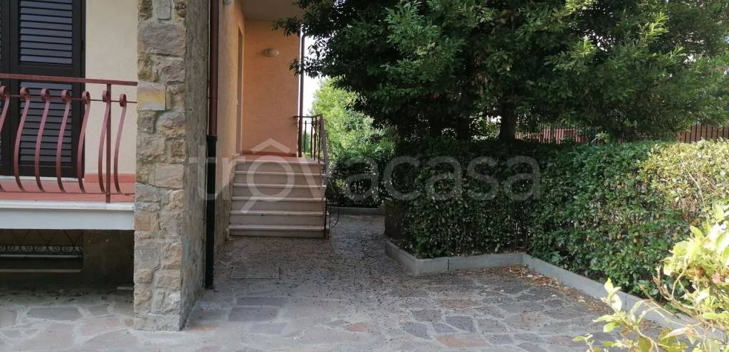 immagine annuncio 1 di 13