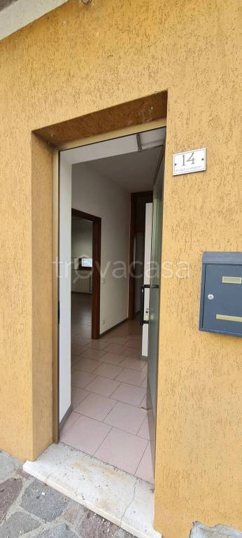 immagine annuncio 4 di 11