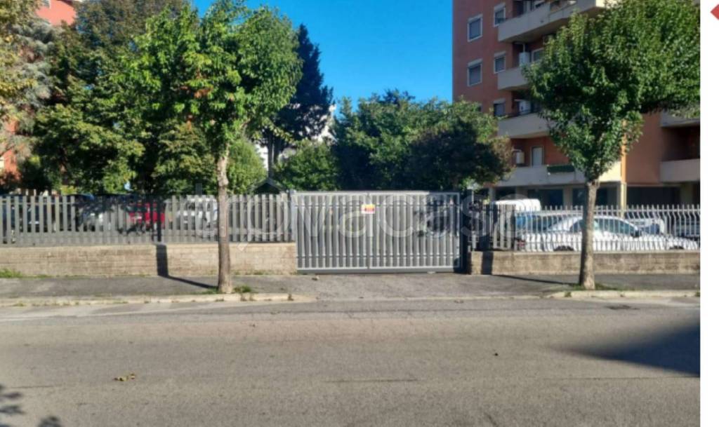 immagine annuncio 5 di 12