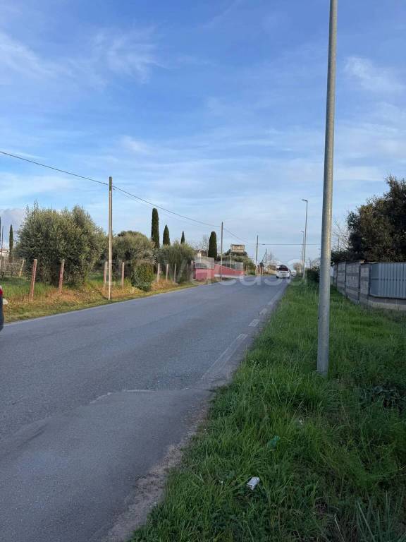 immagine annuncio 9 di 13