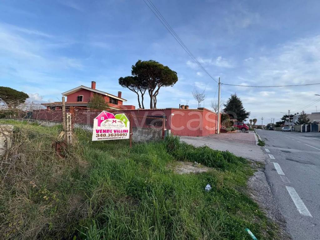 immagine annuncio 14 di 15