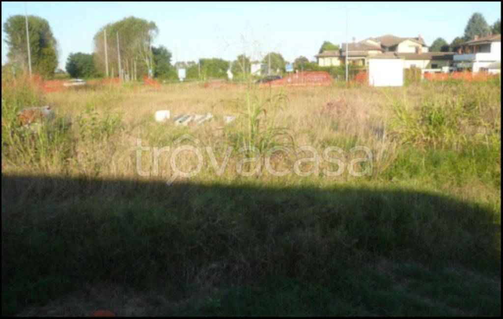 immagine annuncio 3 di 12