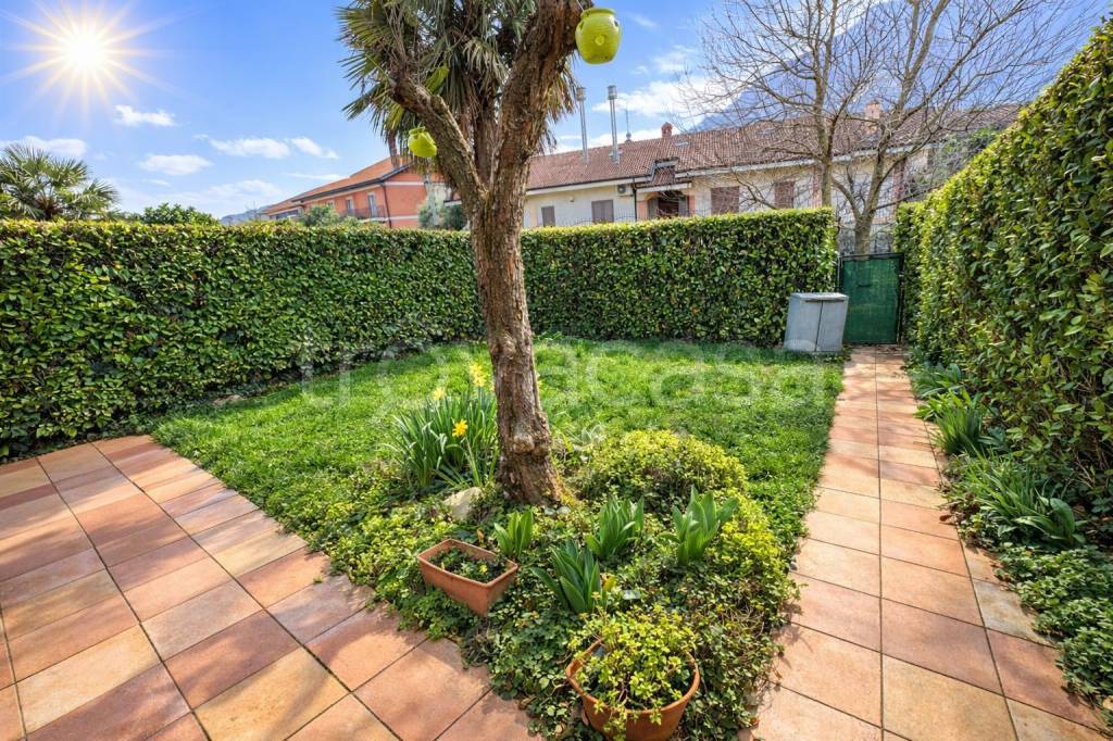 immagine annuncio 11 di 15