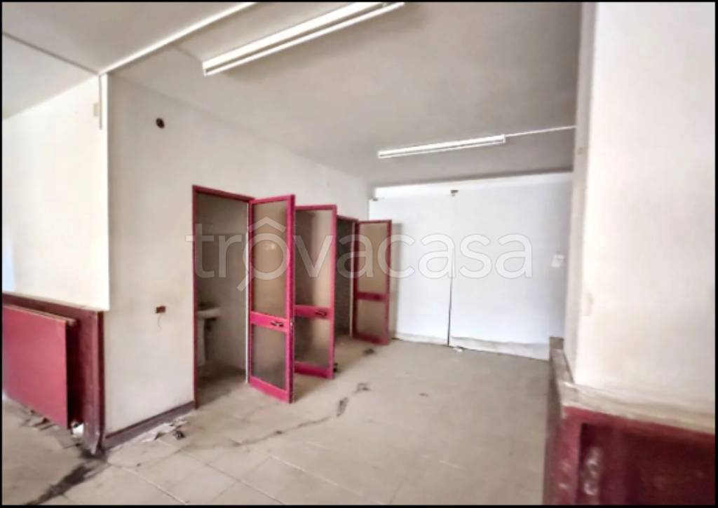 immagine annuncio 5 di 14