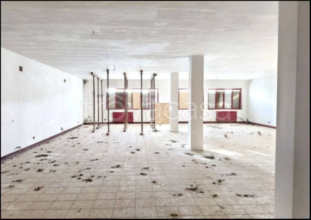 immagine annuncio 7 di 14