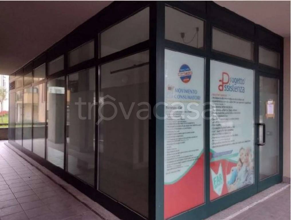 immagine annuncio 1 di 6