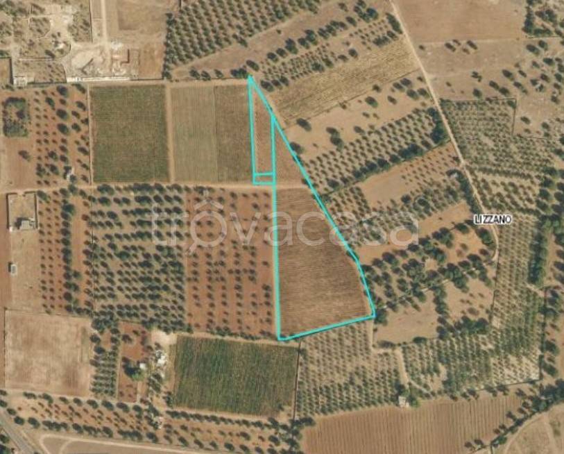 immagine annuncio 11 di 12