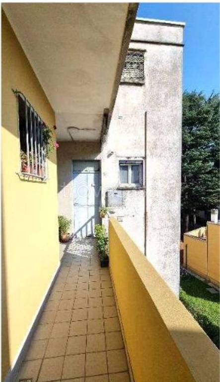 immagine annuncio 3 di 8