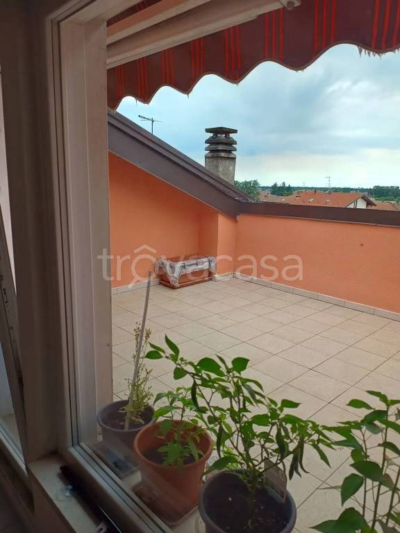 immagine annuncio 12 di 15