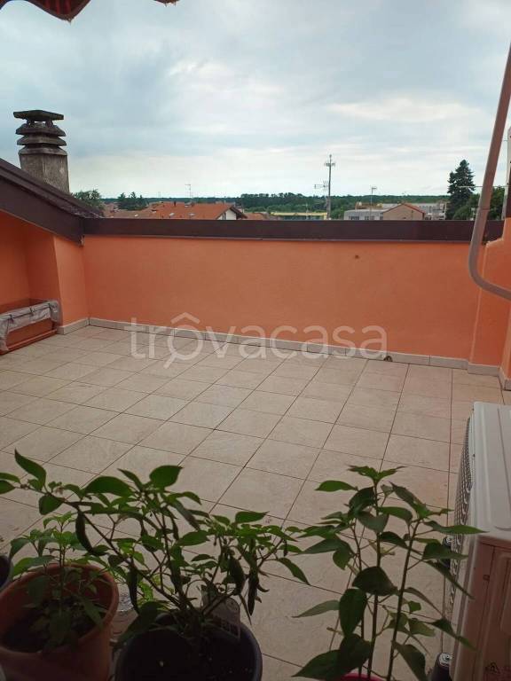 immagine annuncio 13 di 15